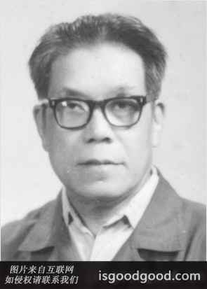 万里云人物照片