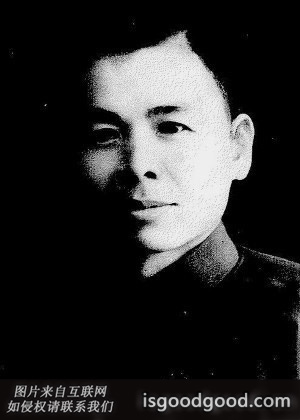 罗文淹人物照片