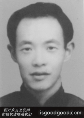 沈泽宜人物照片