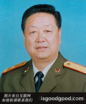 杨金岭人物照片