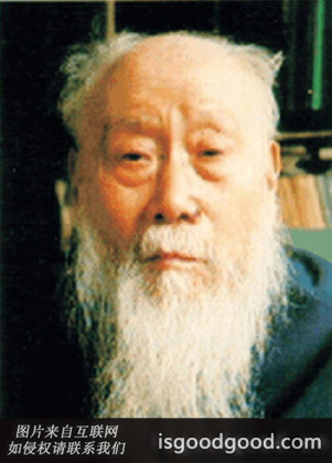 张伯声人物照片