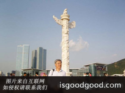 王维宝人物照片