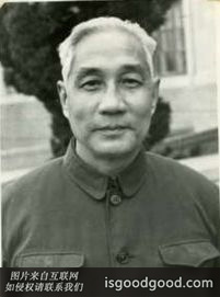 杨烈宇人物照片