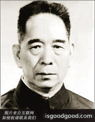 杜鹏程人物照片