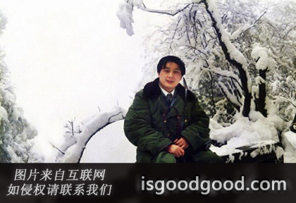 邢小利人物照片