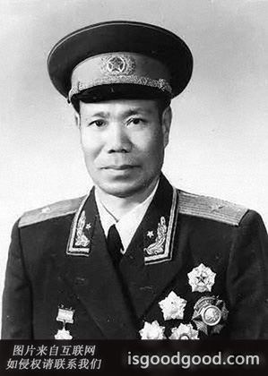 李致远人物照片