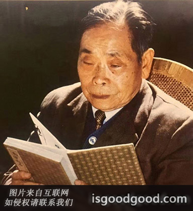 沈觐寿人物照片