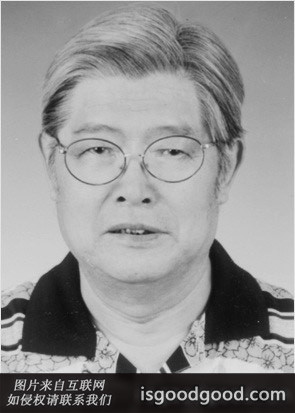 王梦岩人物照片