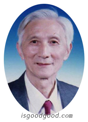 张直中人物照片