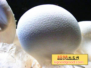 广水白灵菇特产照片