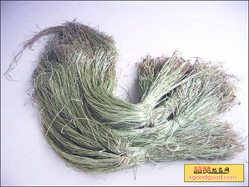莼浦苎麻特产照片
