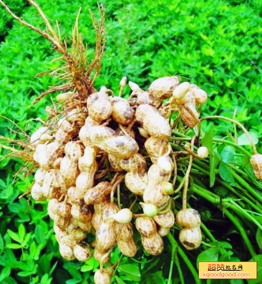 乌沙小花生特产照片