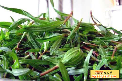山马菜特产照片