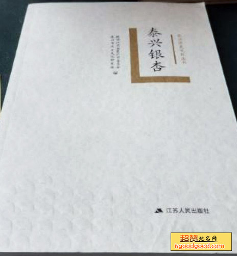 泰兴银杏特产照片