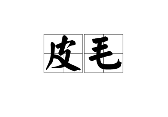 皮毛特产照片