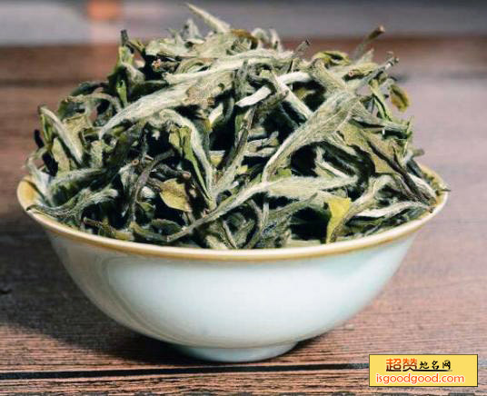 大白茶特产照片