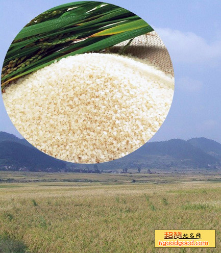 周覃香米特产照片