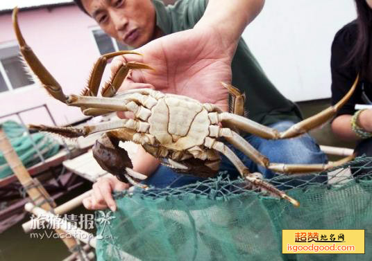 长荡湖大闸蟹特产照片