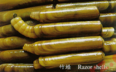 竹蛏特产照片