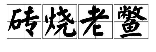 砖烧老鳖特产照片