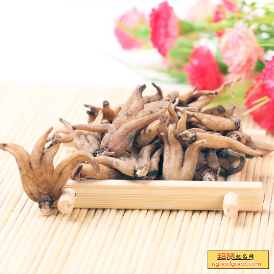 佛掌参特产照片