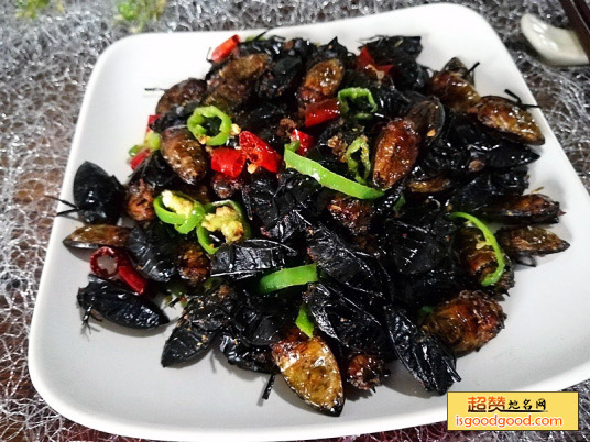 风味龙虱特产照片