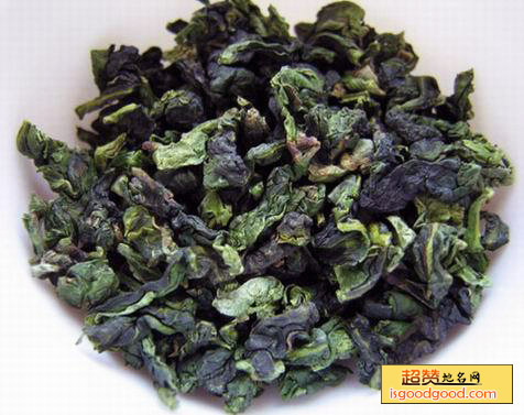 梅占茶特产照片