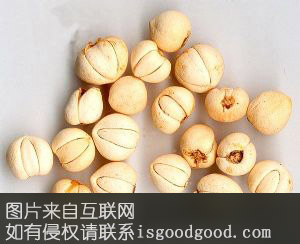 蒲圻贝母特产照片