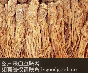 通山药材特产照片