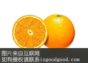 朱红橘特产照片