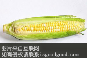 乌盟玉米特产照片