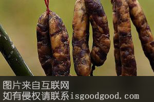 猪红香肠特产照片