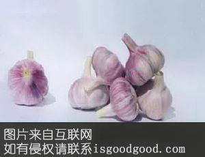 隆回红皮大蒜特产照片