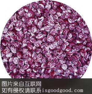 桂东花豆特产照片