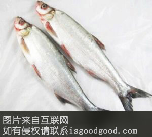 农家刁子鱼特产照片