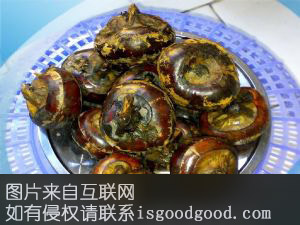 浦市灯芯子特产照片