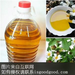 合水茶油特产照片