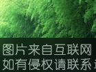 太浮山五大名竹特产照片