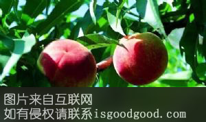 中华脆蜜桃特产照片