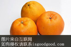 临澧柑橘特产照片