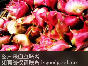 太湖红菱特产照片