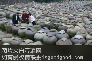 太平米醋特产照片