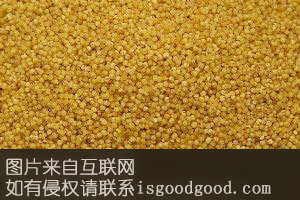 广灵东方亮小米特产照片