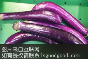 张村茄子特产照片