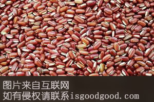 代县红小豆特产照片