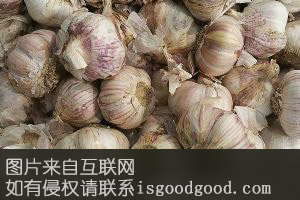 灵丘大蒜特产照片