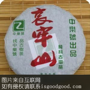 哀牢山普洱茶特产照片