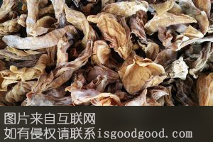 建宁笋干特产照片