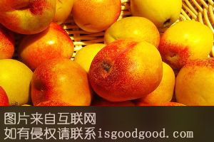 宁德干贝串特产照片