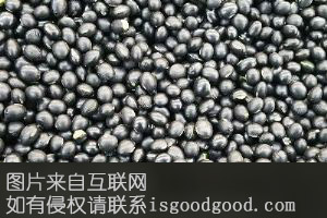 屏南黑绿豆特产照片